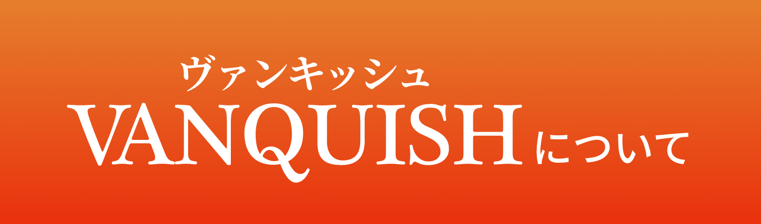 ヴァンキッシュについて