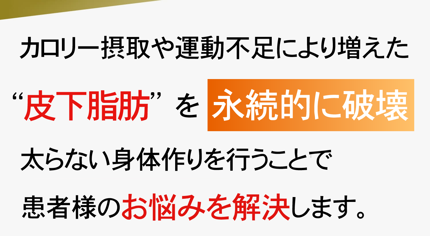 ヴァンキッシュで脂肪破壊を行い、患者様のお悩みを解決します。
