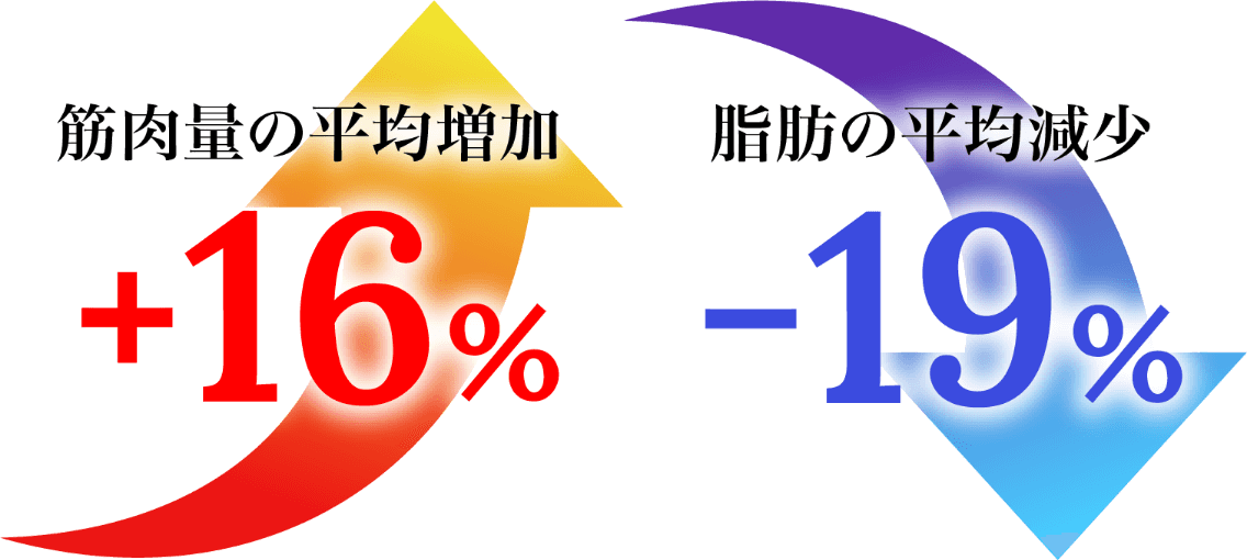 筋肉量の平均増加+16% 脂肪の平均減少-19%