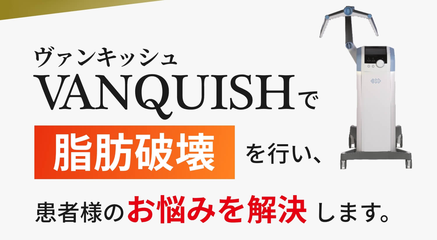 ヴァンキッシュで脂肪破壊を行い、患者様のお悩みを解決します。